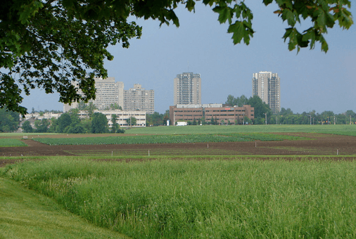 Peridot-Gemstone-Ottawa-Experimental-Farm-View